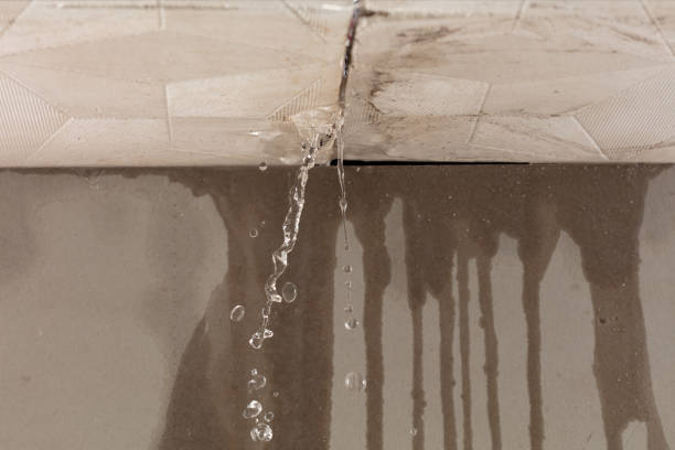 Professional Sewage Cleanup technician working in Spring Branch, TX